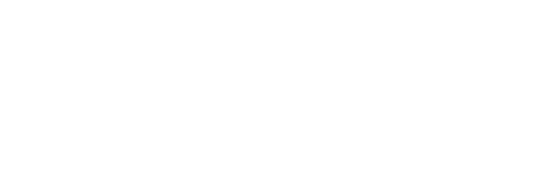 Optimonk logo