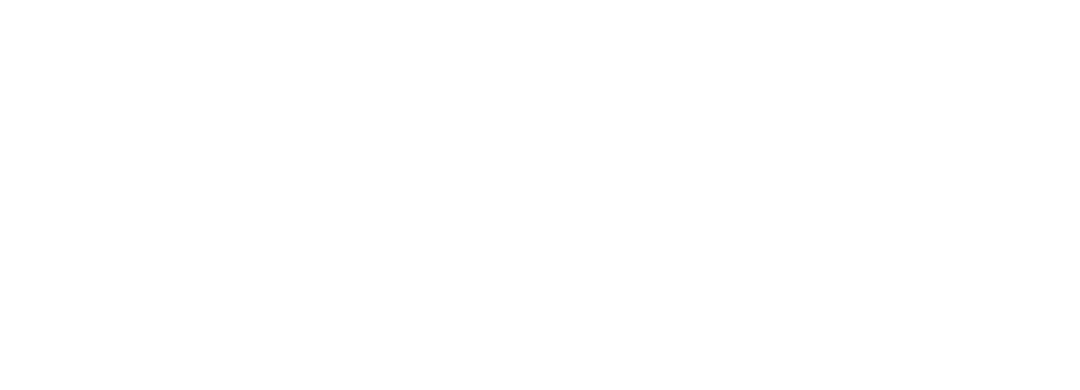 WorldFirst Logo